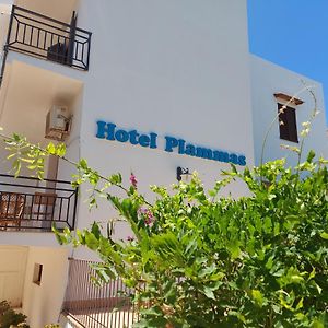 Hotel Plammas